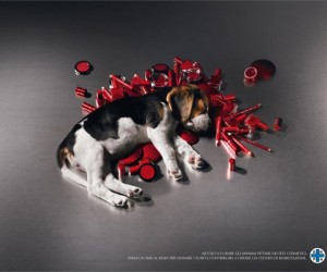 An Ad for ENPA (The National Animals Protection Agency Of Itlay) to help victims of c...
