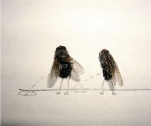 Previous Image
